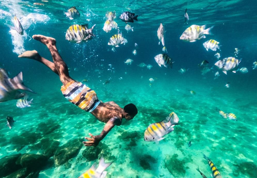 Excursión de un día a Arraial do Cabo