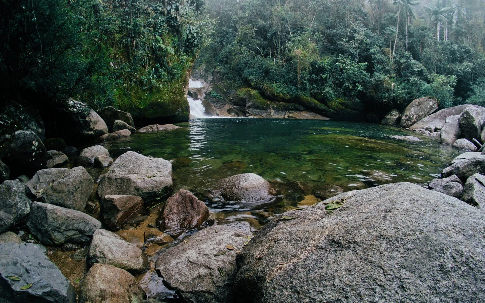 Jungle Life — horseback & waterfalls