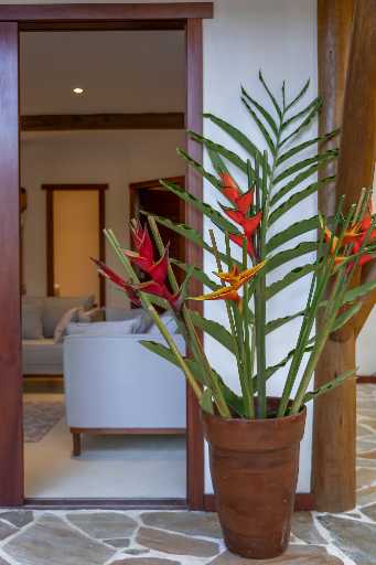 Eight villa hotel for sale in Trancoso — photo 38 of 190 (hotel, Trancoso, Rio de Janeiro)