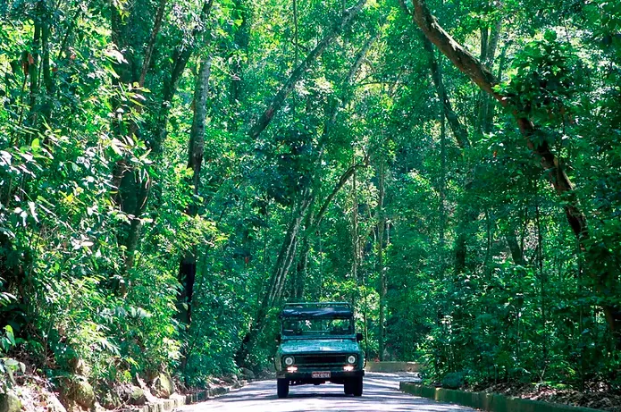 Open-top jeep tour through Tijuca National Park rainforest